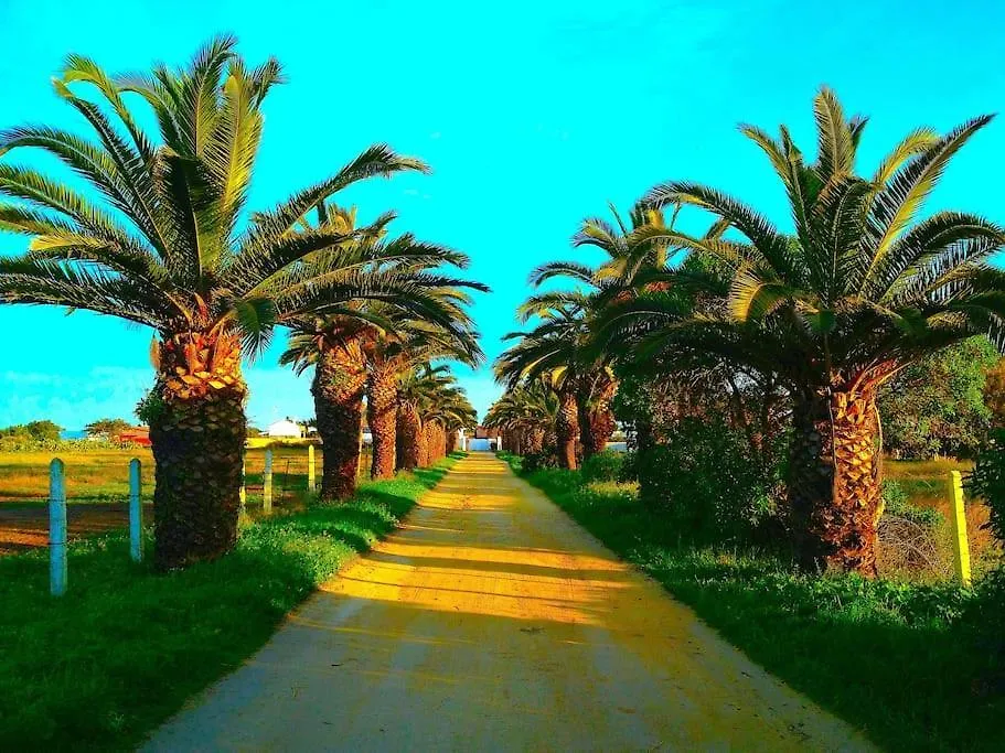 Holiday home Casara Cuatro - Charming Warm Loft Close To The Beach Zahora Spain
